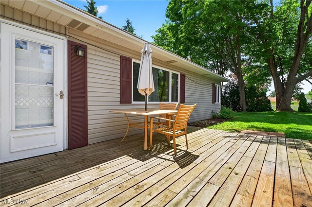 1536 Murial Dr, Streetsboro, OH 44241 - photo 31