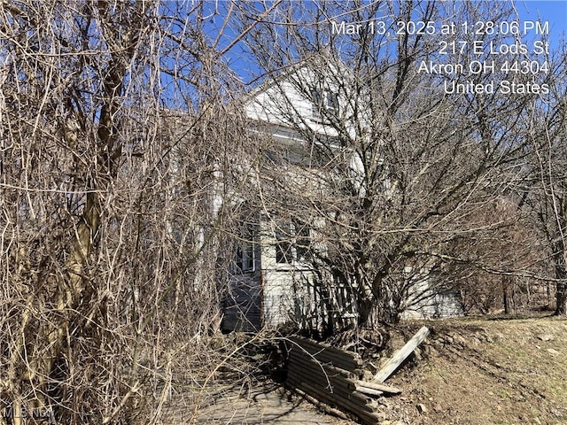 221 E Lods St, Akron, OH 44304 - view of nature