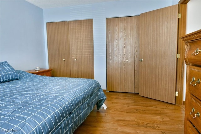 3189 Woodland Trl Unit A, Cortland, OH 44410 - bedroom featuring wood finished floors and multiple closets