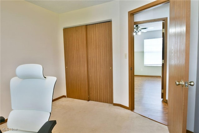 3189 Woodland Trl Unit A, Cortland, OH 44410 - home office featuring carpet floors and baseboards