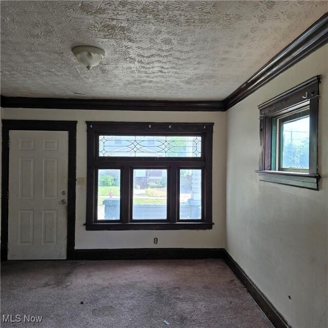 13013 Soika Ave, Cleveland, OH 44120 - carpeted spare room featuring healthy amount of natural light, a textured ceiling, and crown molding