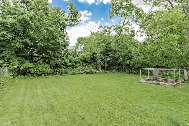 3412 Euclid Heights Blvd, Cleveland Heights, OH 44118 - photo 27