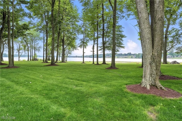 263 E Pne Lake Rd, North Lima, OH 44452 - view of grassy yard featuring a water view