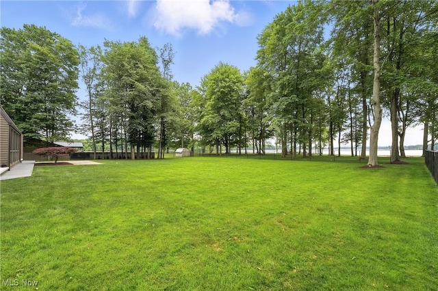 263 E Pne Lake Rd, North Lima, OH 44452 - view of yard