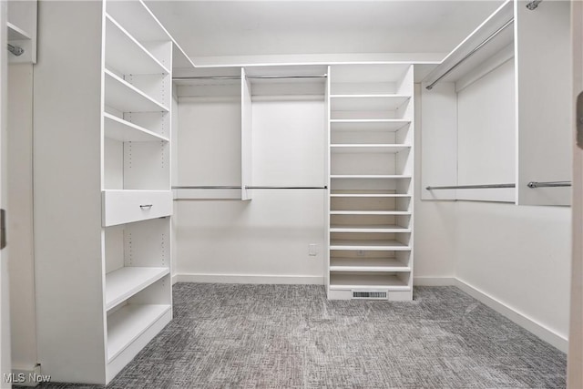 263 E Pne Lake Rd, North Lima, OH 44452 - walk in closet featuring carpet