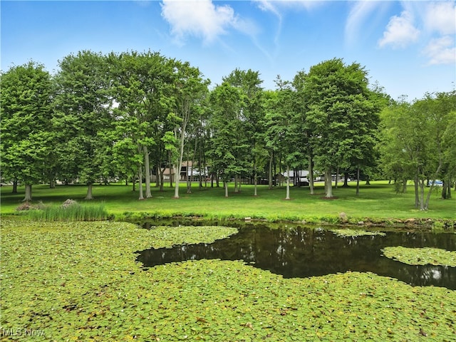 263 E Pne Lake Rd, North Lima, OH 44452 - surrounding community featuring a water view and a lawn
