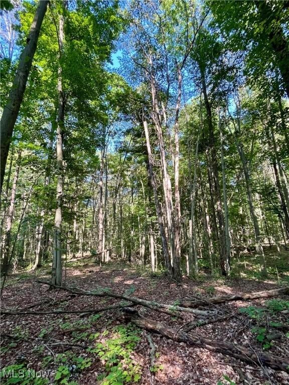 4807 Laskey Rd, Rome, OH 44085 - view of undeveloped land