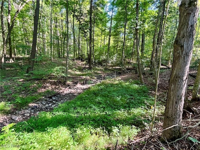4807 Laskey Rd, Rome, OH 44085 - view of nature