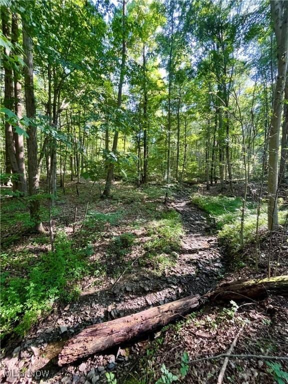 4807 Laskey Rd, Rome, OH 44085 - view of undeveloped land