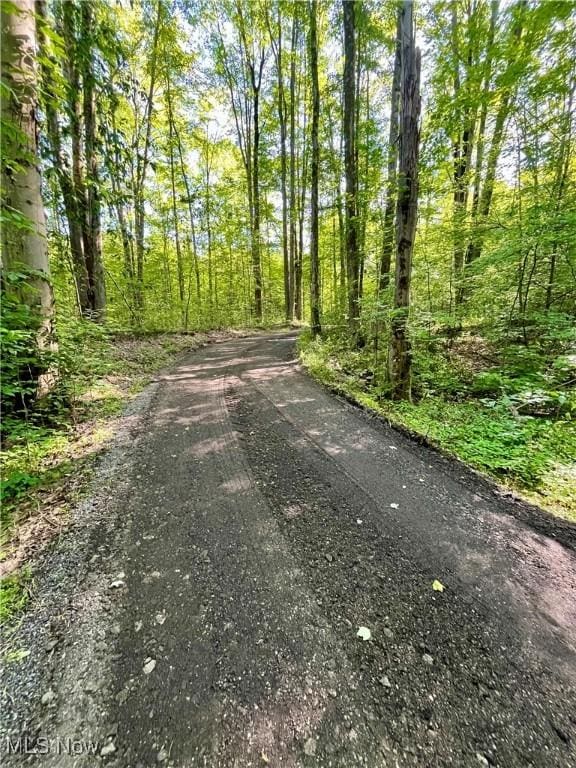 4807 Laskey Rd, Rome, OH 44085 - view of road featuring a view of trees