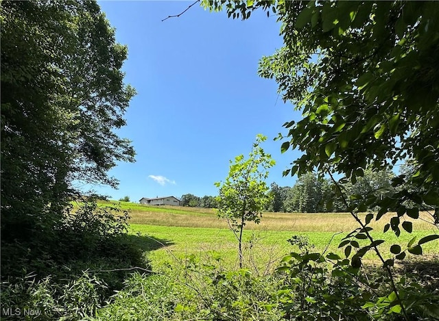 3028 Amsterdam Rd SE, Scio, OH 43988 - view of green lawn with a view of rural / pastoral area