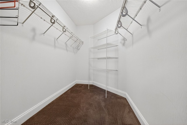 498 Water Pointe Ln, Brunswick, OH 44212 - walk in closet with dark carpet