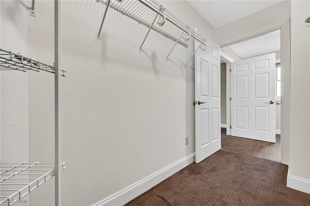 498 Water Pointe Ln, Brunswick, OH 44212 - walk in closet featuring carpet flooring