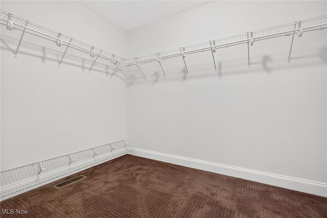498 Water Pointe Ln, Brunswick, OH 44212 - spacious closet with dark carpet