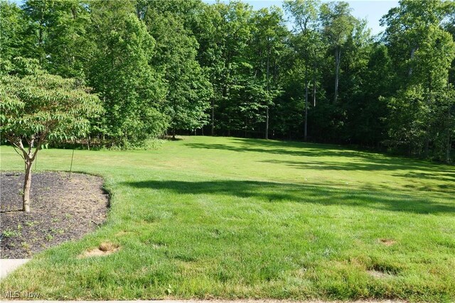8600 Sanctuary Dr, Mentor, OH 44060 - photo 47