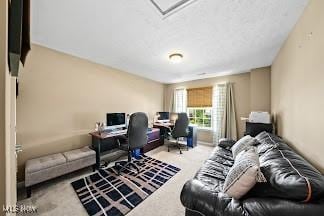 8028 Megan Meadow Dr, Hudson, OH 44236 - view of carpeted home office