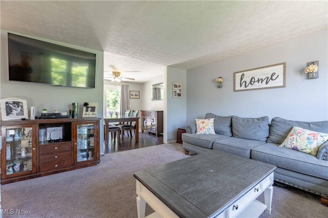 4950 Trafalgar St SW, Canton, OH 44706 - living area with a textured ceiling, carpet floors, and a ceiling fan