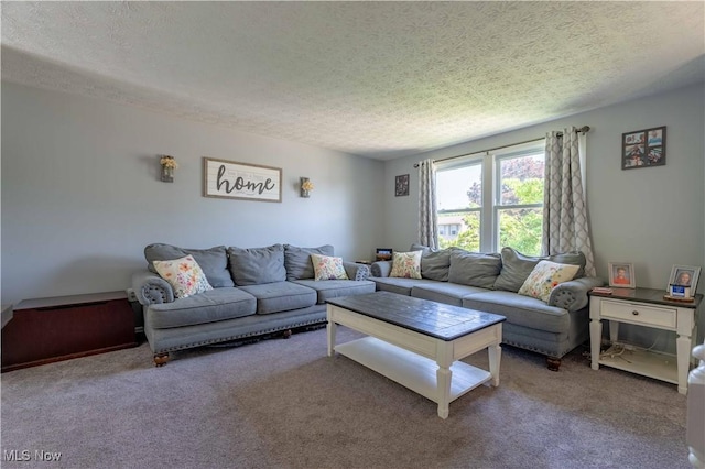 4950 Trafalgar St SW, Canton, OH 44706 - carpeted living room with a textured ceiling