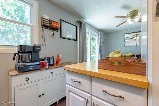 4950 Trafalgar St SW, Canton, OH 44706 - kitchen with wooden counters, a ceiling fan, white cabinets, and a textured ceiling