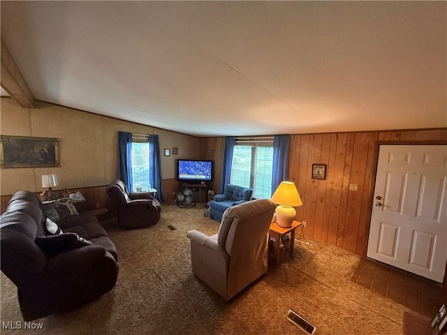 44534 US Highway 36, Coshocton, OH 43812 - carpeted living area with wooden walls and vaulted ceiling