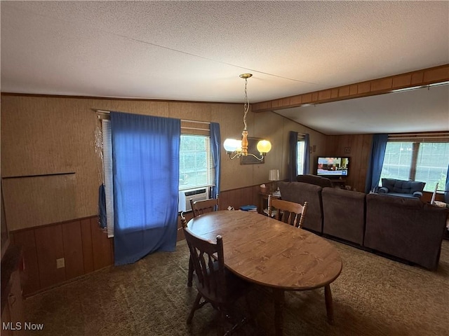 44534 US Highway 36, Coshocton, OH 43812 - dining room with wood walls, plenty of natural light, a textured ceiling, wainscoting, and vaulted ceiling