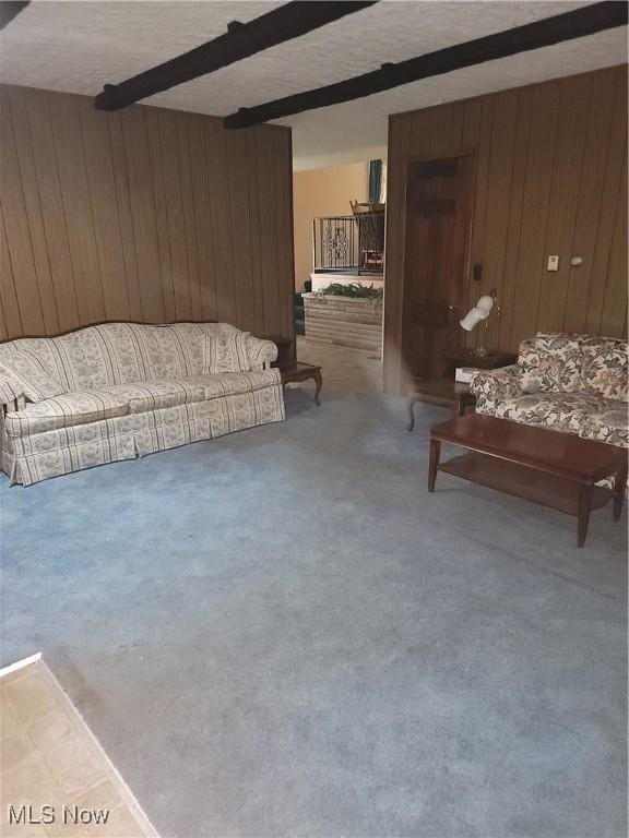 5622 Donna Dr, Ashtabula, OH 44004 - living area with wood walls, carpet flooring, beam ceiling, and a textured ceiling