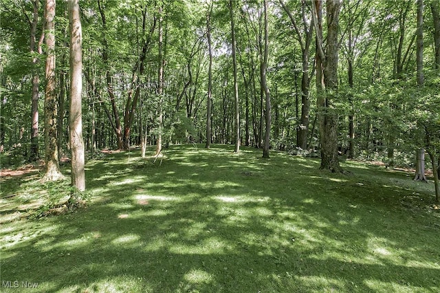 1040 Whisperwood Ln, Aurora, OH 44202 - photo 47
