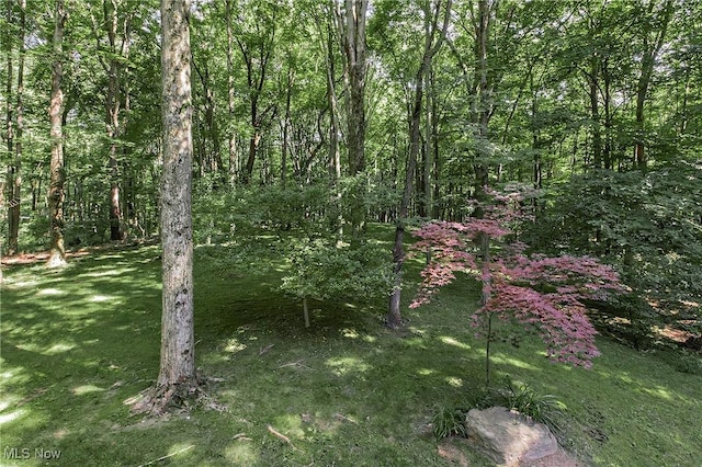 1040 Whisperwood Ln, Aurora, OH 44202 - photo 43