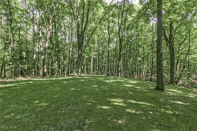 1040 Whisperwood Ln, Aurora, OH 44202 - photo 46