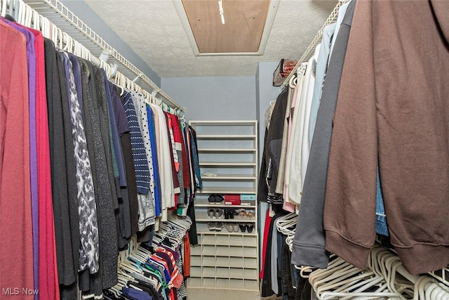 7148 N Brewster Pl, Concord, OH 44077 - view of spacious closet