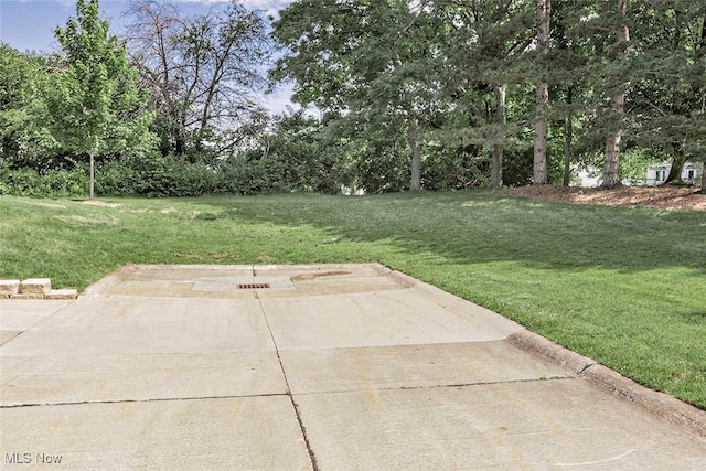 7148 N Brewster Pl, Concord, OH 44077 - view of green lawn featuring view of wooded area