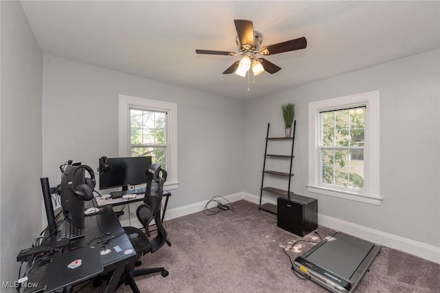 13653 Cedar Rd, University Heights, OH 44118 - photo 6
