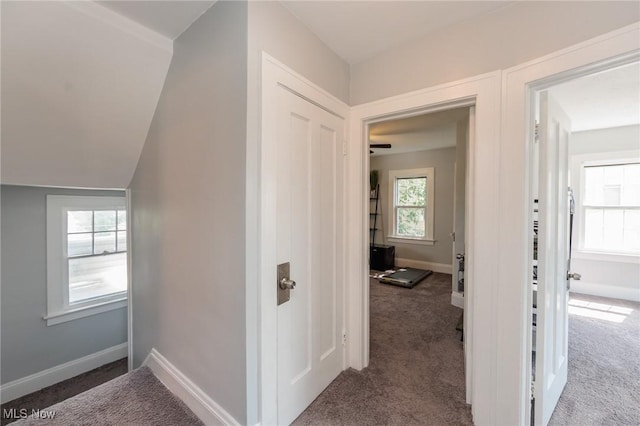 13653 Cedar Rd, University Heights, OH 44118 - photo 9