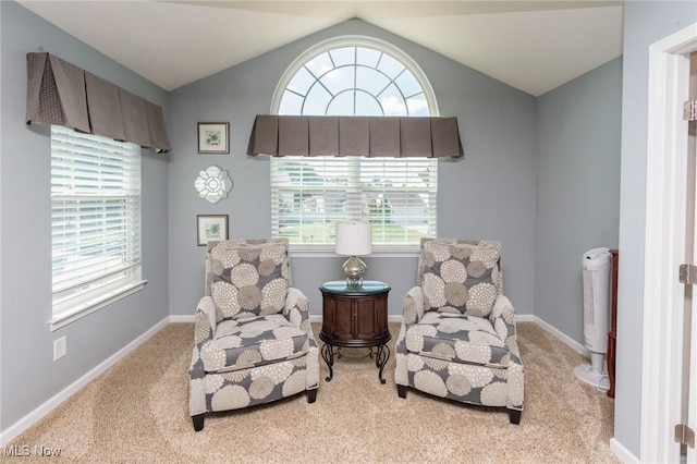 3139 Junior Pkwy, Brunswick, OH 44212 - sitting room featuring carpet, plenty of natural light, and vaulted ceiling
