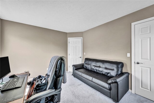 254 Vista Cir, North Olmsted, OH 44070 - home office featuring carpet flooring and a textured ceiling