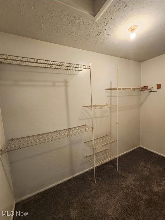 4211 Dennis Ln, Brunswick, OH 44212 - walk in closet with carpet flooring