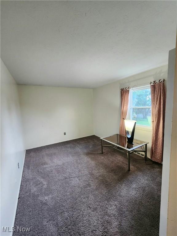 4211 Dennis Ln, Brunswick, OH 44212 - unfurnished office featuring carpet