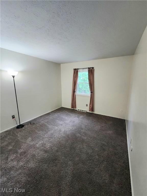 4211 Dennis Ln, Brunswick, OH 44212 - spare room with carpet flooring and a textured ceiling