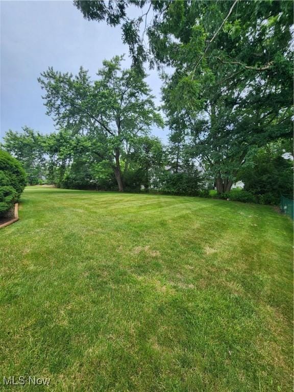 4211 Dennis Ln, Brunswick, OH 44212 - view of green lawn