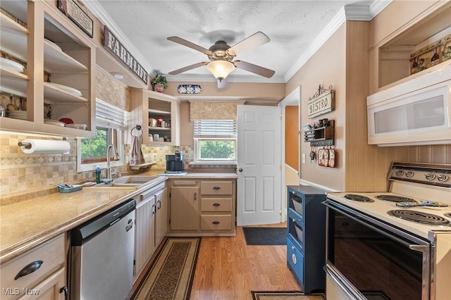 4843 Summer Ln, Brooklyn, OH 44144 - kitchen featuring white appliances, healthy amount of natural light, crown molding, backsplash, and light wood-type flooring