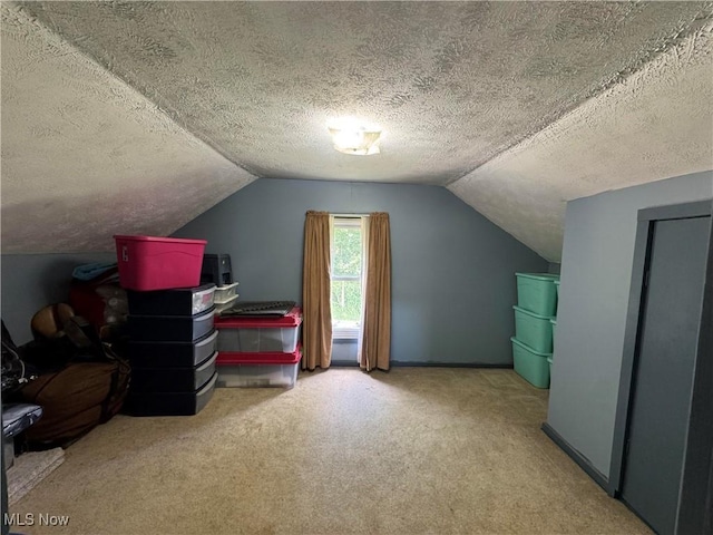 10097 March Rd NE, East Rochester, OH 44625 - bonus room with a textured ceiling, carpet floors, and lofted ceiling