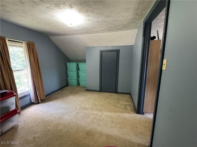 10097 March Rd NE, East Rochester, OH 44625 - additional living space with a textured ceiling, light carpet, and vaulted ceiling