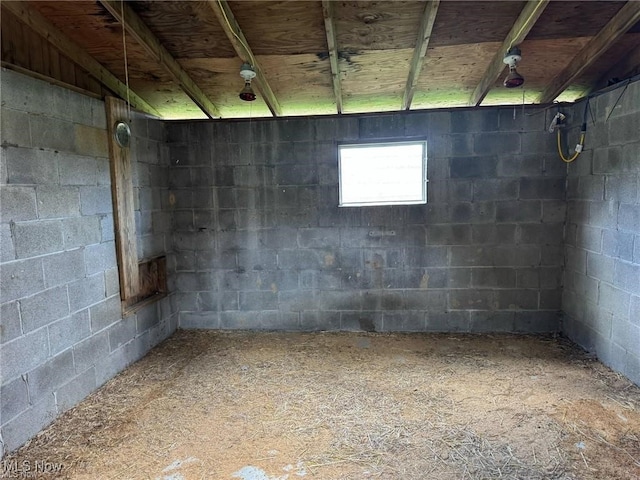 10097 March Rd NE, East Rochester, OH 44625 - below grade area with concrete block wall