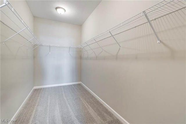 9264 Sharrott Rd Unit 904, Poland, OH 44514 - photo 16