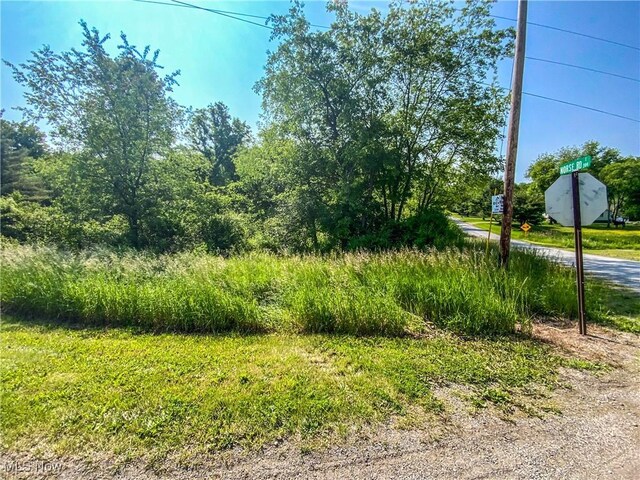 0 Norse Rd NE, Salineville, OH 43945 - photo 9