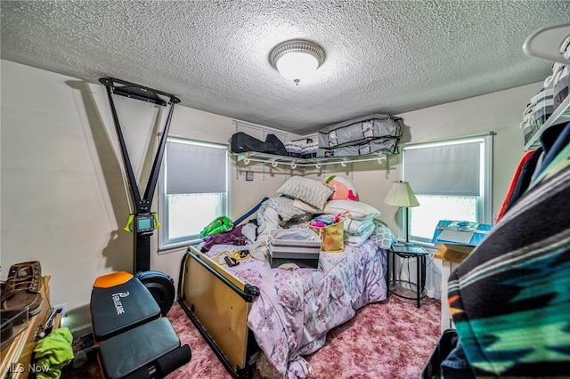 6086 N Wright St, Kingsville, OH 44048 - bedroom featuring a textured ceiling, multiple windows, and carpet floors