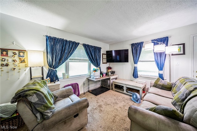 6086 N Wright St, Kingsville, OH 44048 - carpeted living room featuring healthy amount of natural light and a textured ceiling