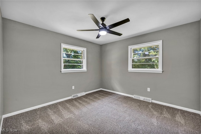 4928 Lane Rd, Perry, OH 44081 - spare room with carpet flooring and a ceiling fan
