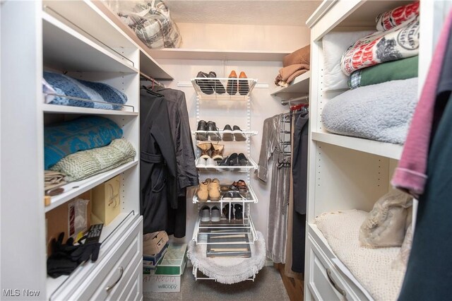 2021 King James Pkwy Unit 214, Westlake, OH 44145 - view of walk in closet