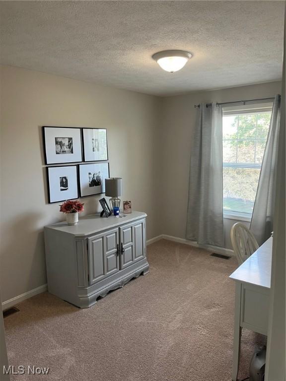 1315 Cascade Cir E, Canton, OH 44708 - office with light colored carpet and a textured ceiling